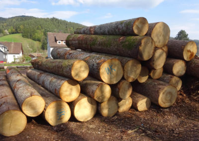 weisstannenholz